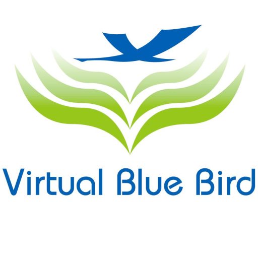 http://virtualbluebird.com/wp-content/uploads/2026/05/cropped-LOGO.jpg
